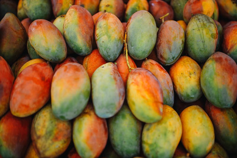 Fresh Mango Agua Fresca drink